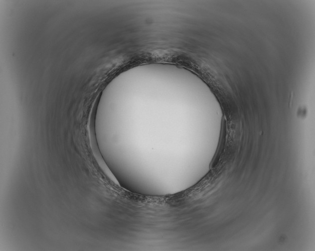 X0000090861249200708171558