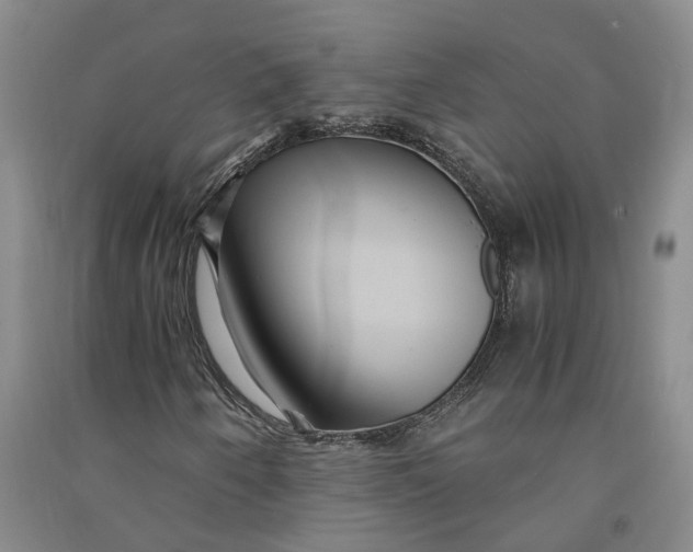 X0000090861250200708171558