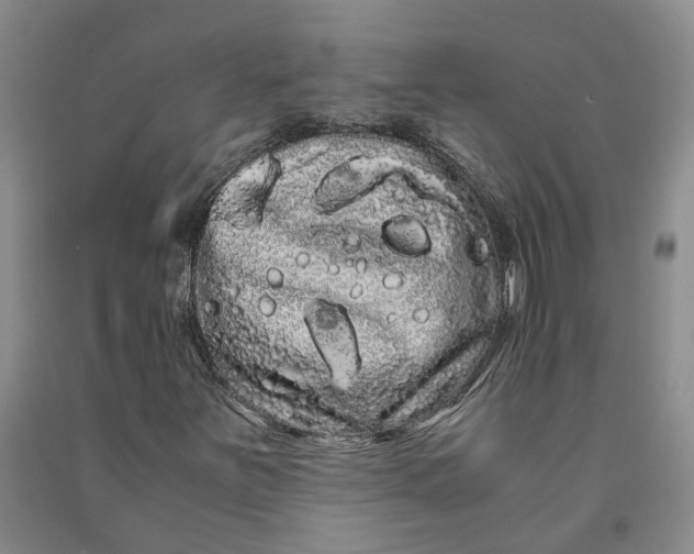 X0000090861251200708171558