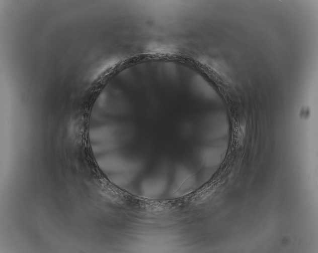 X0000090861254200708171558