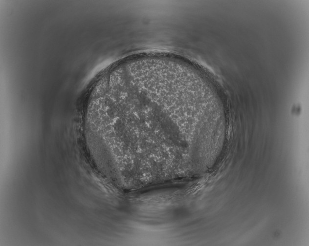 X0000090861255200708171558
