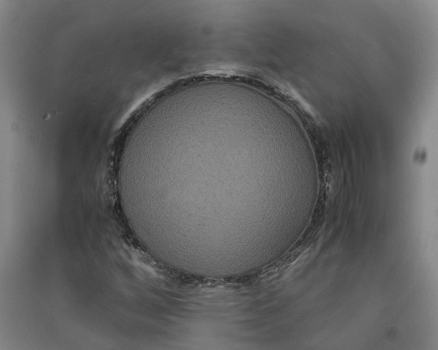 X0000090861256200708171558
