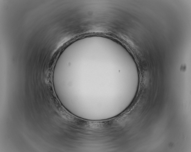 X0000090861258200708171558
