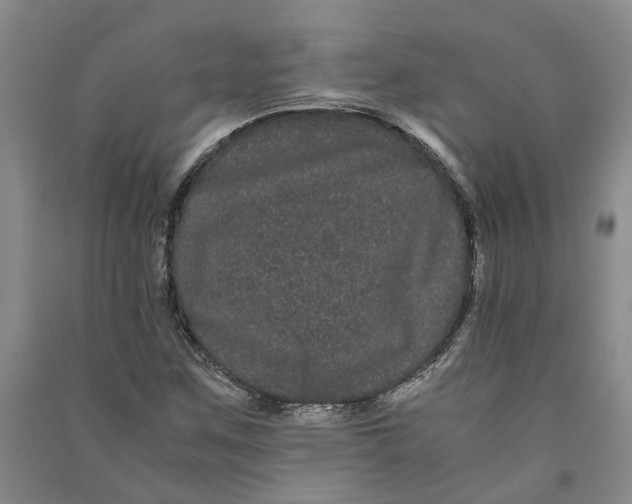 X0000090861259200708171558
