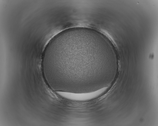 X0000090861260200708171558