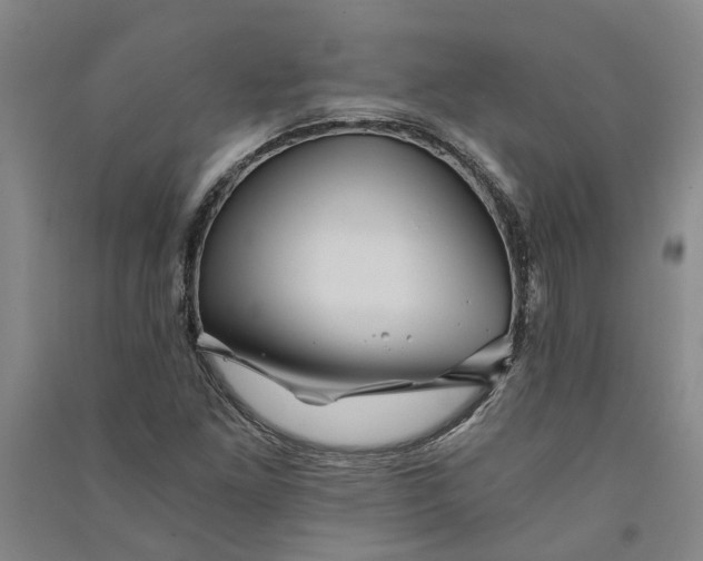 X0000090861261200708171558