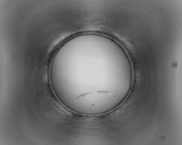 X0000090861262200708171558