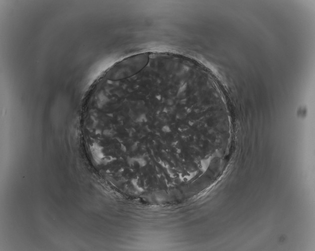 X0000090861263200708171558