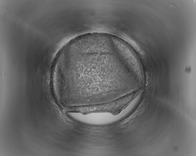 X0000090861264200708171558