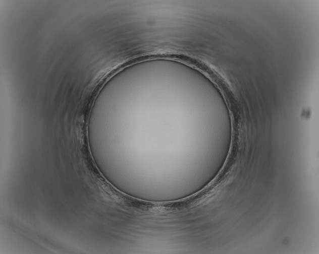 X0000090861265200708171558