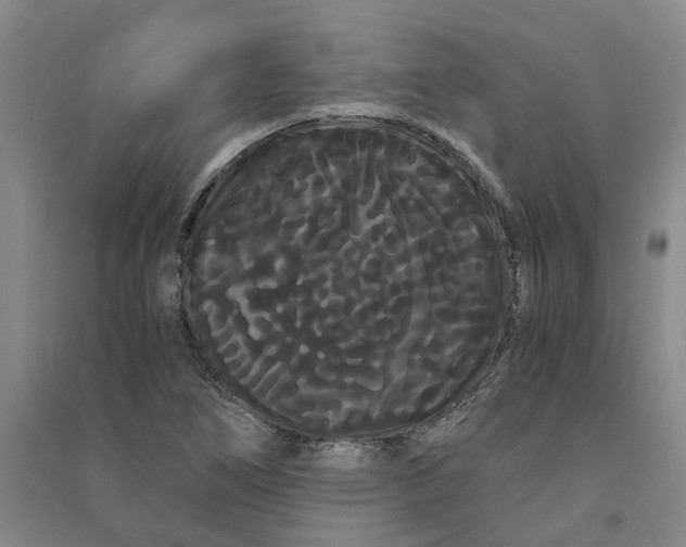 X0000090861266200708171558