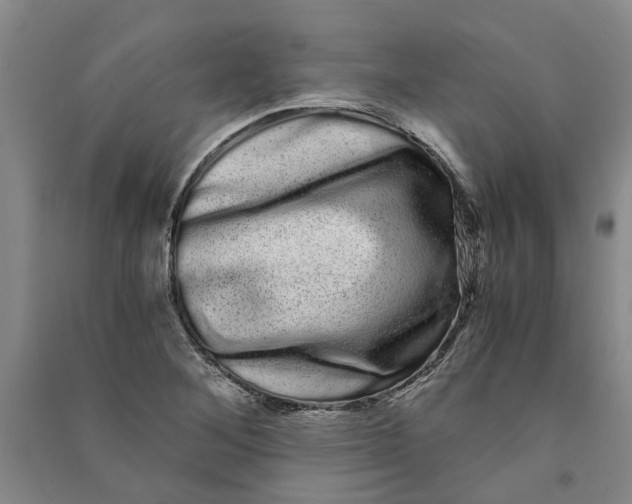 X0000090861268200708171558