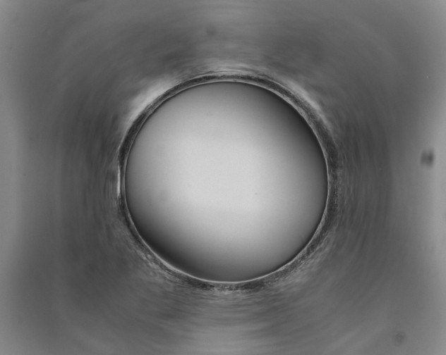 X0000090861269200708171558