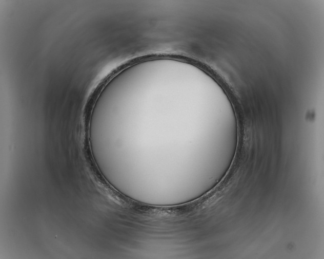 X0000090861270200708171558