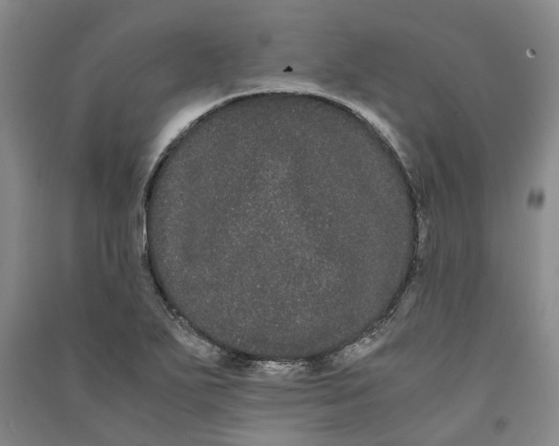 X0000090861271200708171558
