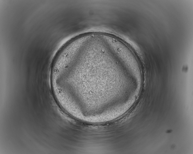 X0000090861272200708171558