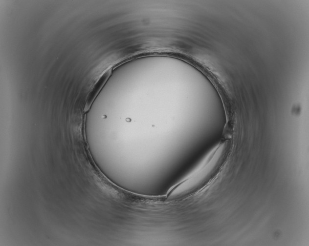 X0000090861273200708171558