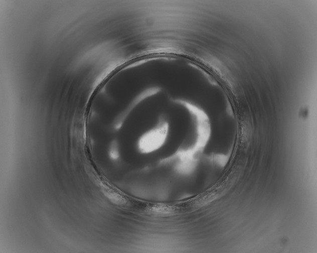 X0000090861274200708171558