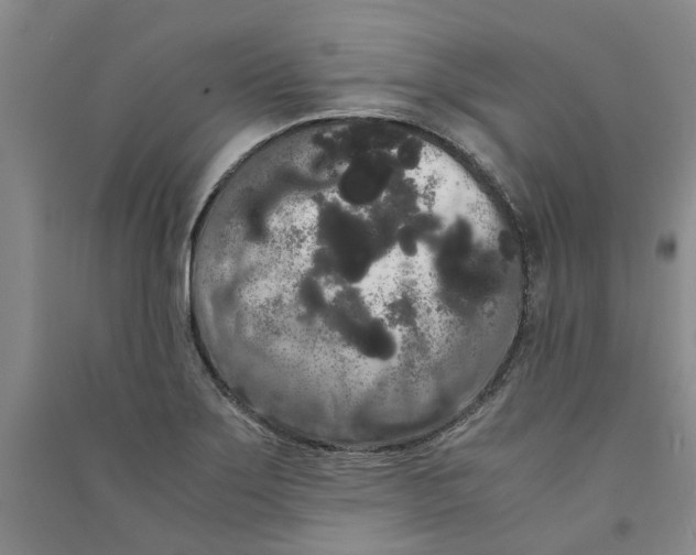 X0000090861275200708171558