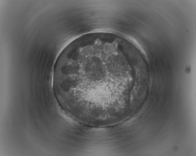 X0000090861276200708171558