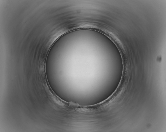X0000090861281200708171558