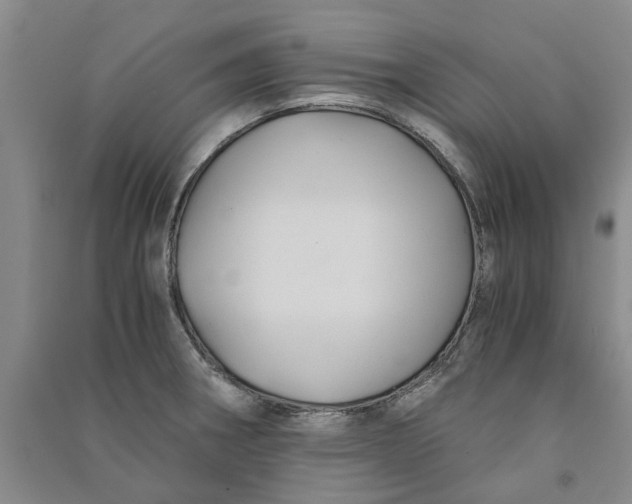 X0000090861282200708171558