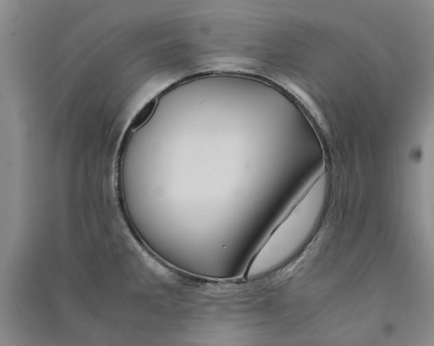X0000090861285200708171558