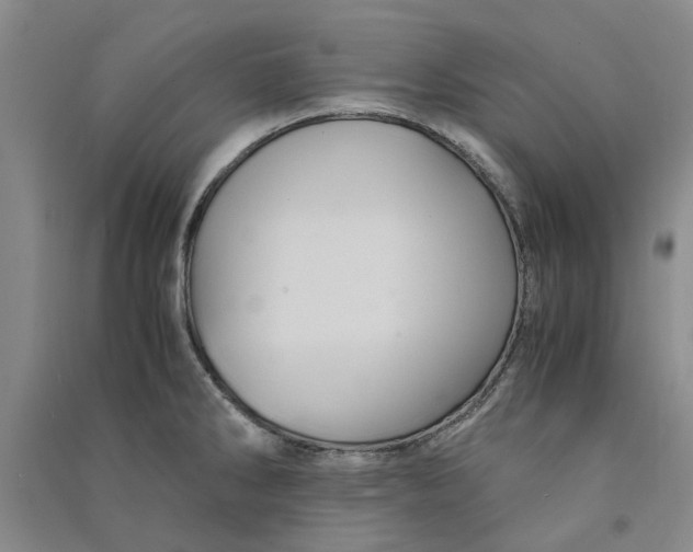 X0000090861286200708171558