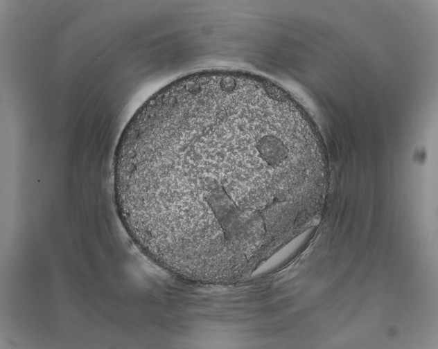 X0000090861287200708171558