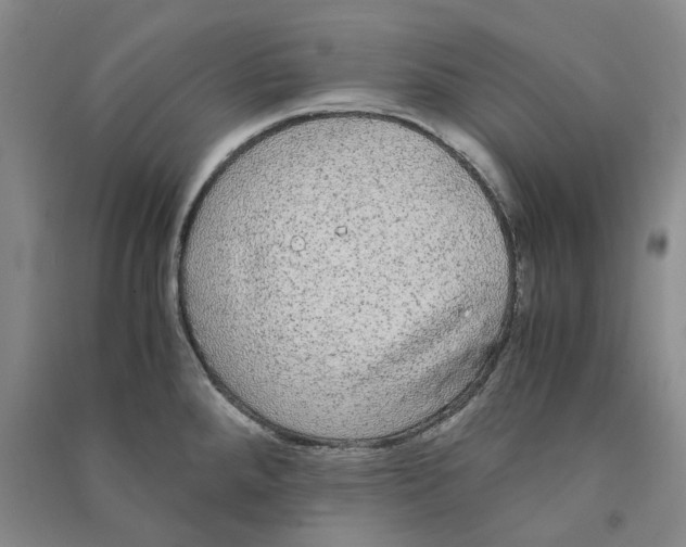 X0000090861288200708171558