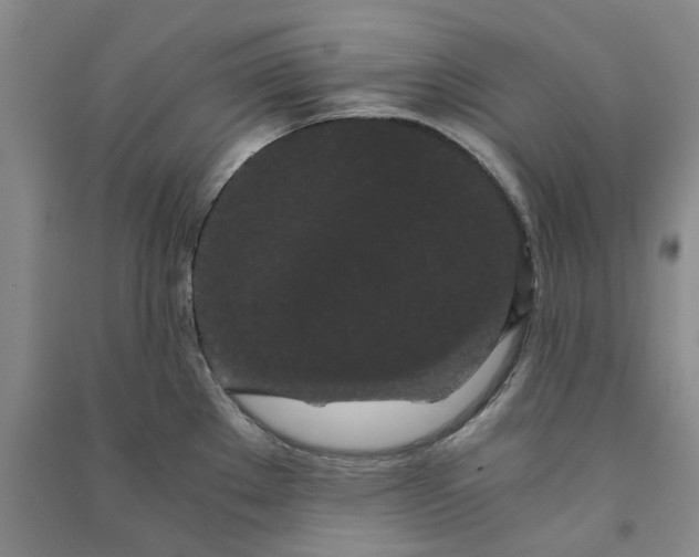 X0000090861289200708171558