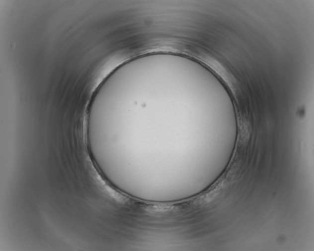 X0000090861290200708171558