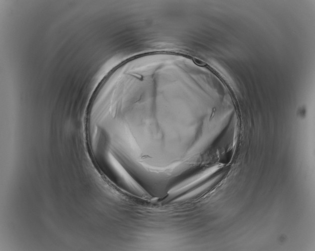 X0000090861291200708171558