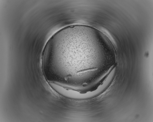 X0000090861292200708171558