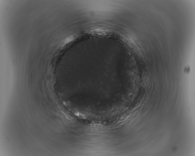 X0000090861297200708171557