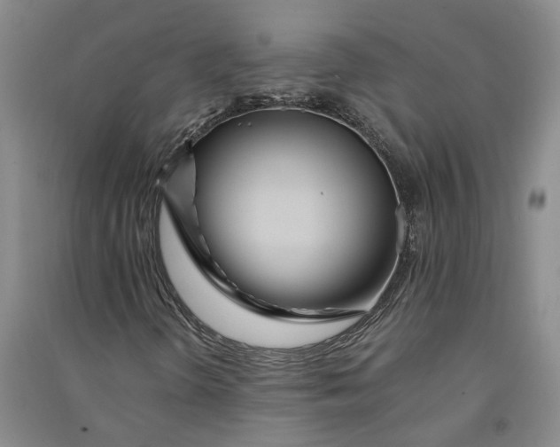 X0000090861298200708171557