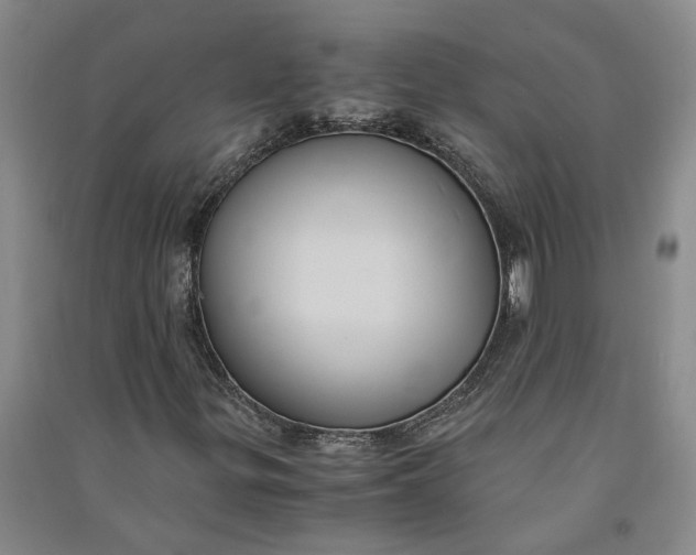 X0000090861299200708171557