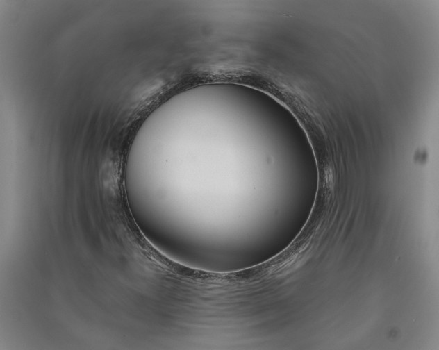 X0000090861300200708171557