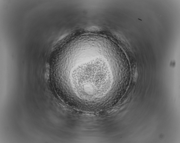 X0000090861301200708171557