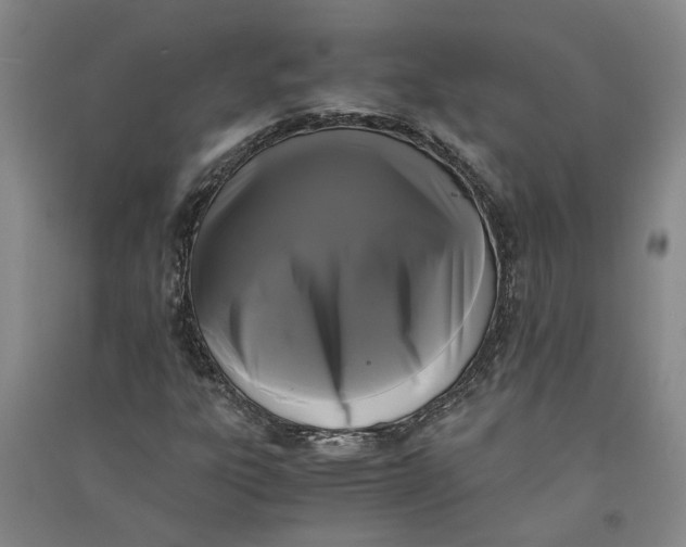 X0000090861303200708171557