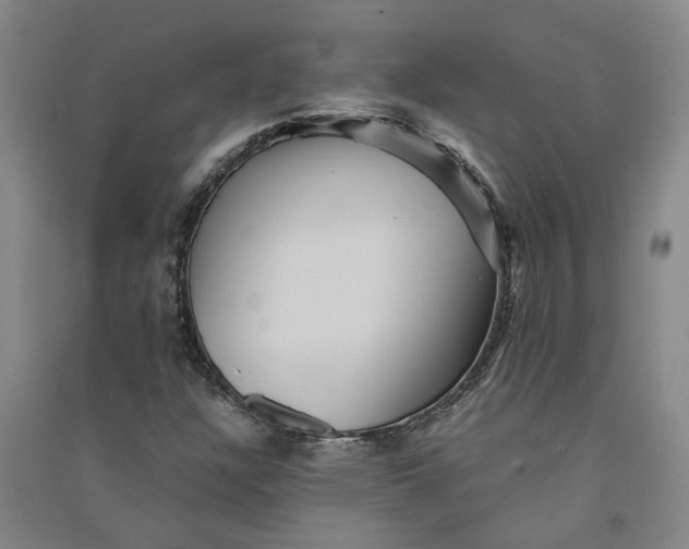 X0000090861304200708171557