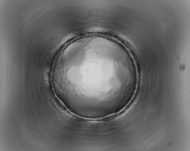 X0000090861305200708171557