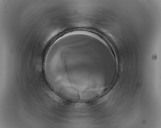 X0000090861306200708171557