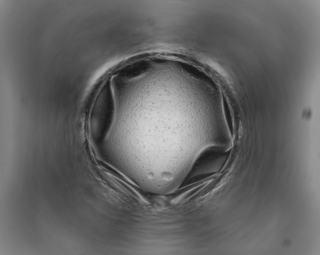 X0000090861310200708171557