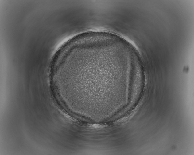 X0000090861311200708171557