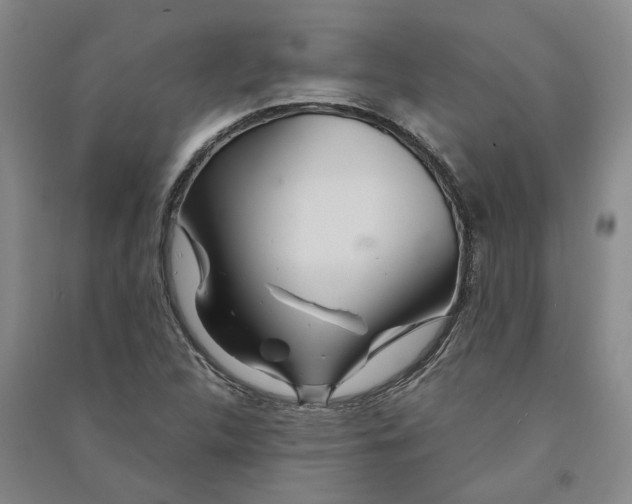 X0000090861312200708171557