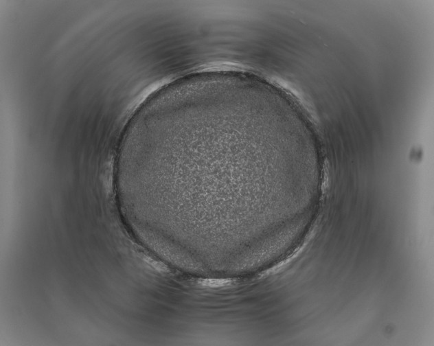 X0000090861313200708171557