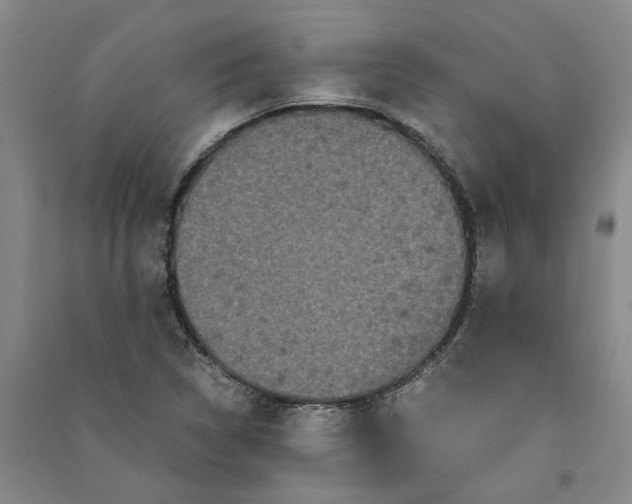 X0000090861314200708171557