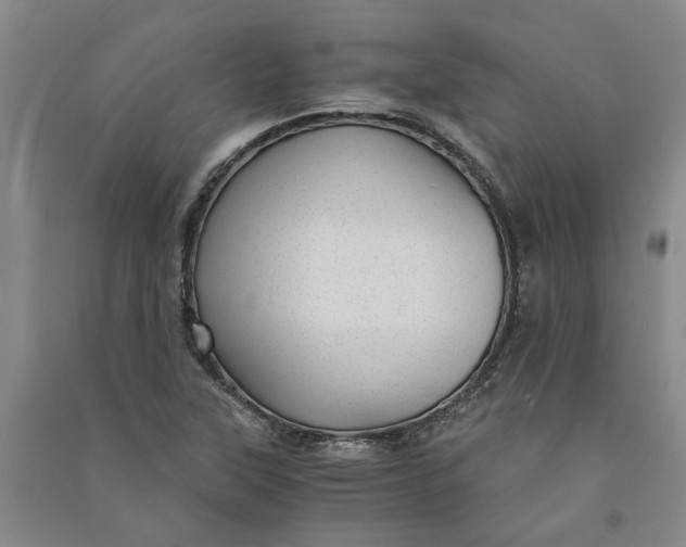 X0000090861315200708171557