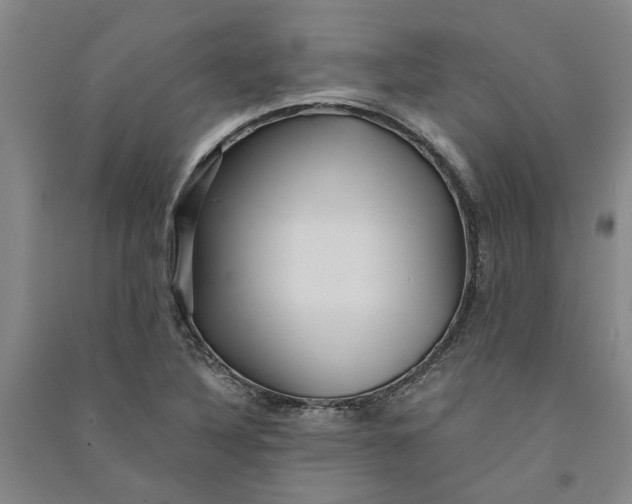 X0000090861316200708171557